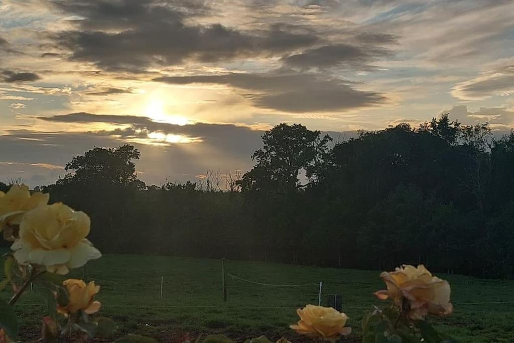 Modern Countryside Apartment Killmallock Lodge Enniscorthy Eksteriør bilde